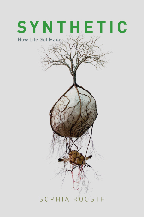 Cover image for book Synthetic