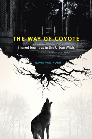 The Way of Coyote
