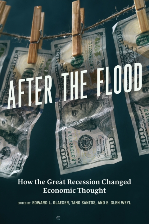 Cover image for book After the Flood