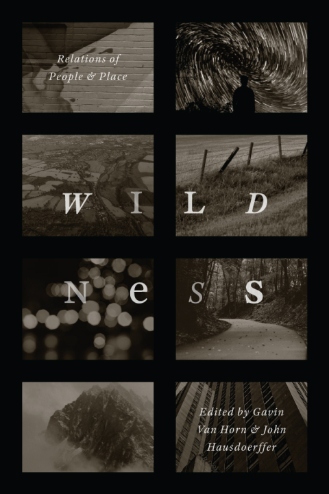 Cover image for book Wildness