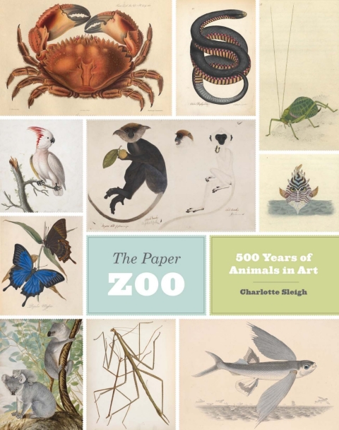 Cover image for book The Paper Zoo