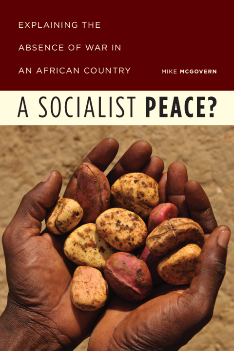 Cover image for book A Socialist Peace?
