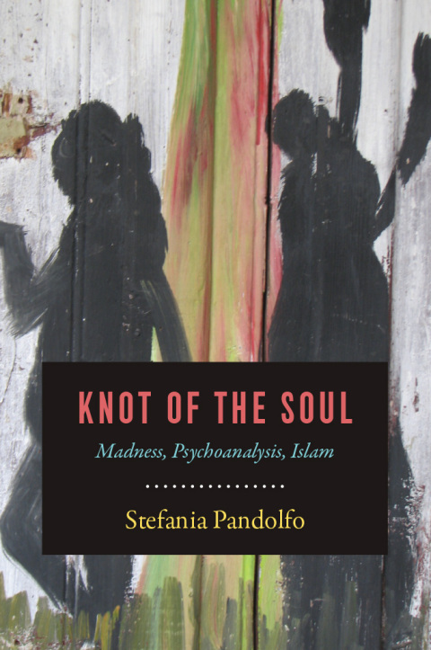 Cover image for book Knot of the Soul