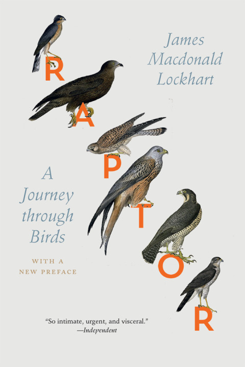 Cover image for book Raptor