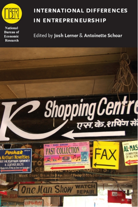 Cover image for book International Differences in Entrepreneurship