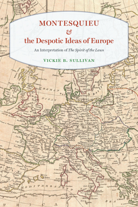 Cover image for book Montesquieu and the Despotic Ideas of Europe