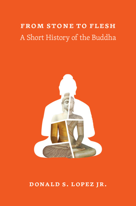 Cover image for book From Stone to Flesh