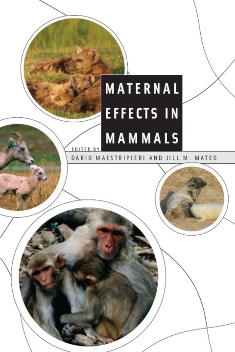 Cover image for book Maternal Effects in Mammals