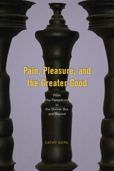 Cover image for book Pain, Pleasure, and the Greater Good