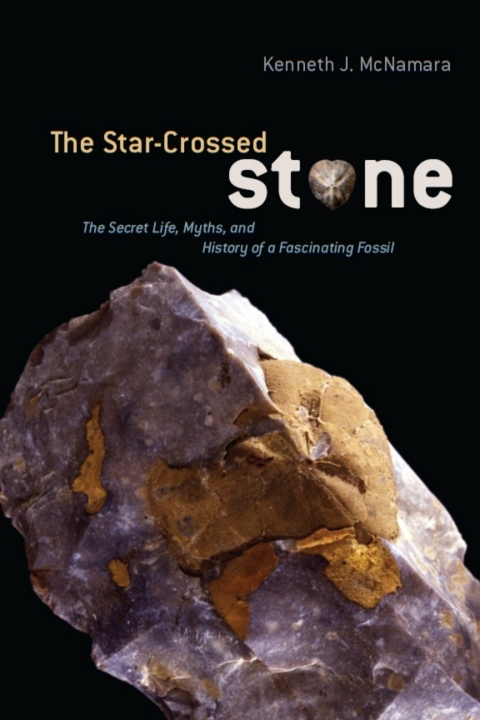 Cover image for book The Star-Crossed Stone