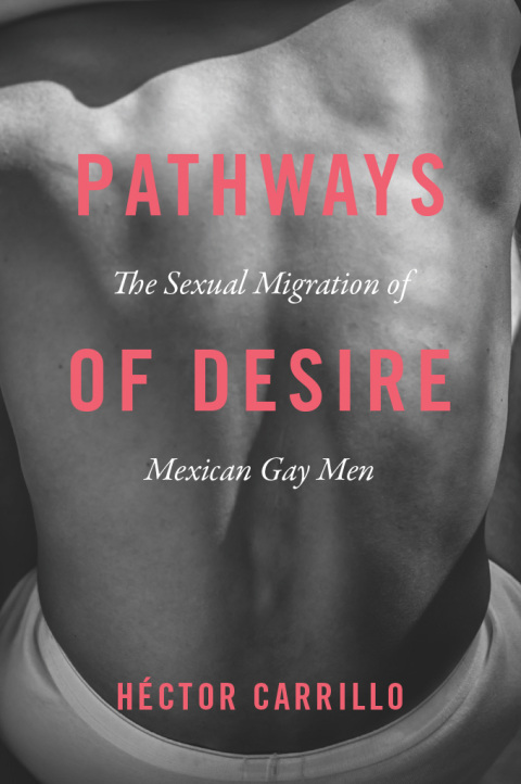 Cover image for book Pathways of Desire