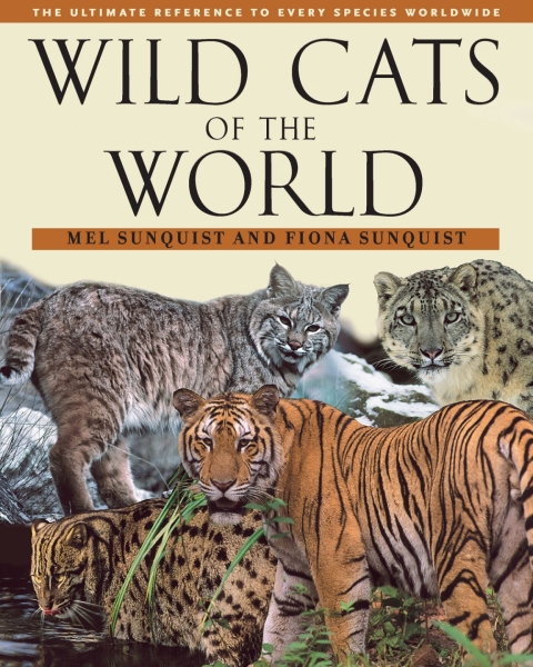 Cover image for book Wild Cats of the World