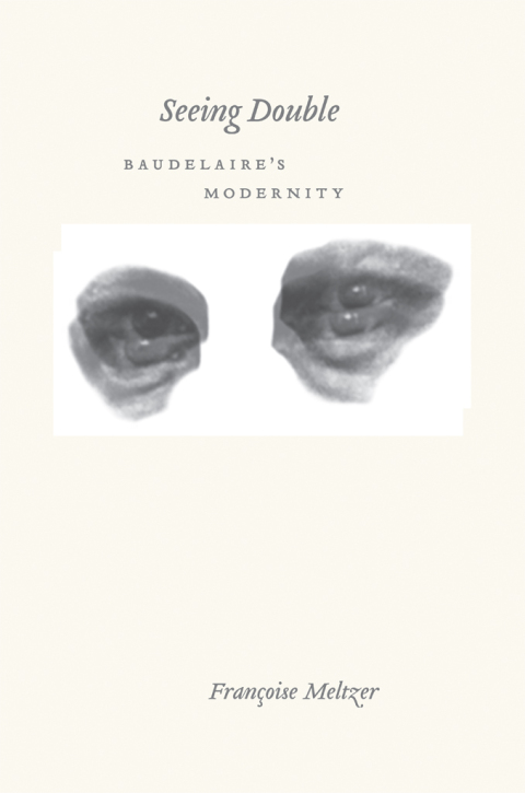 Cover image for book Seeing Double
