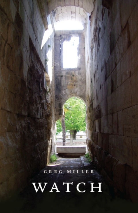 Cover image for book Watch