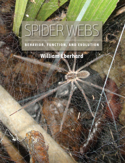 Cover image for book Spider Webs