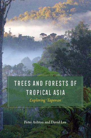 Trees and Forests of Tropical Asia