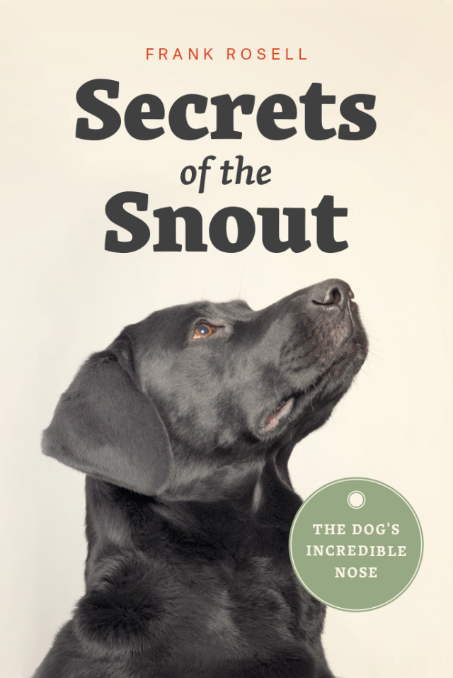 Secrets of the Snout