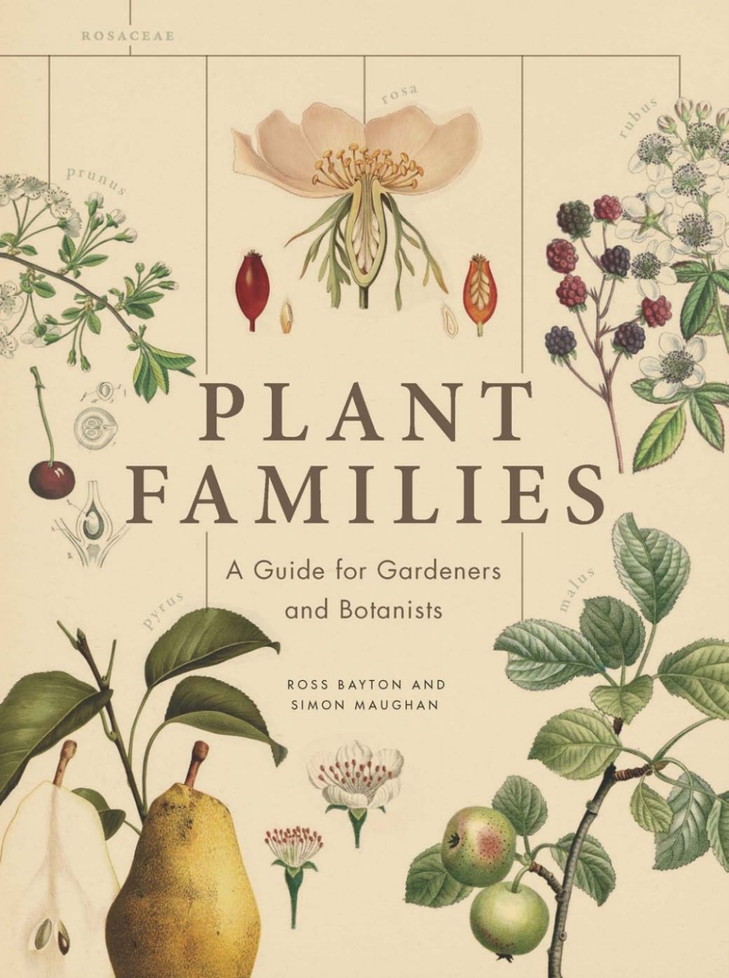 Page Fidelity Plant Families; $23.20