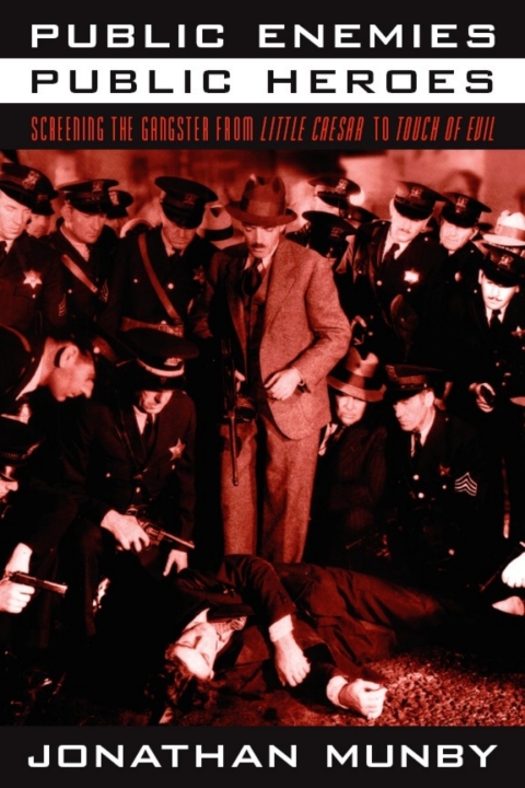 Cover image for book Public Enemies, Public Heroes