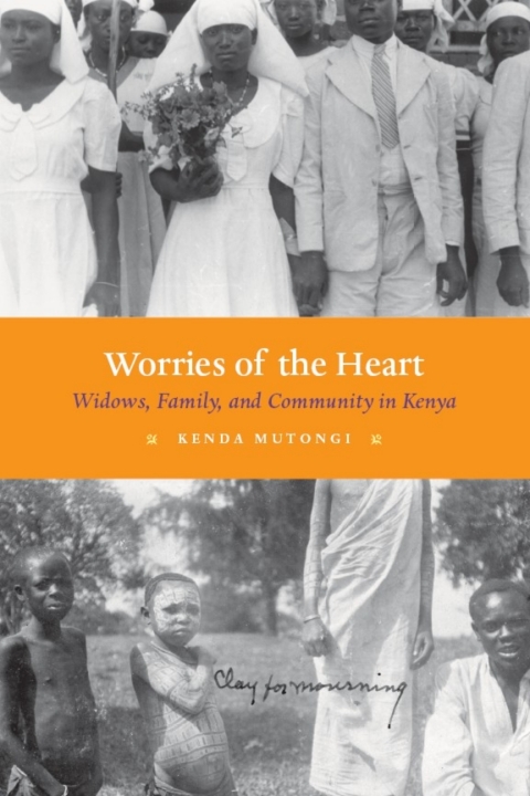 Cover image for book Worries of the Heart
