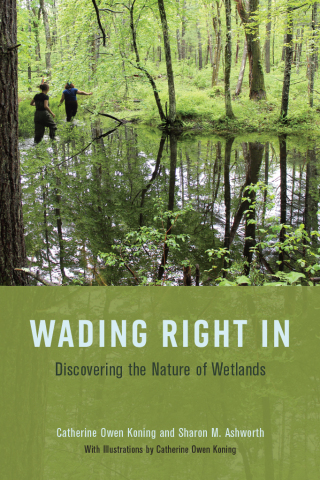 Wading Right In