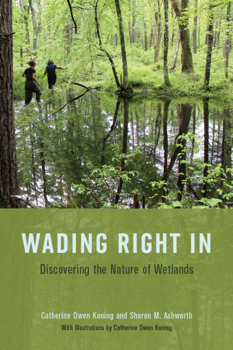 Cover image for book Wading Right In