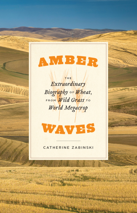 Cover image for book Amber Waves