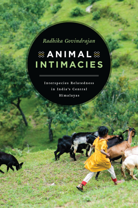 Cover image for book Animal Intimacies