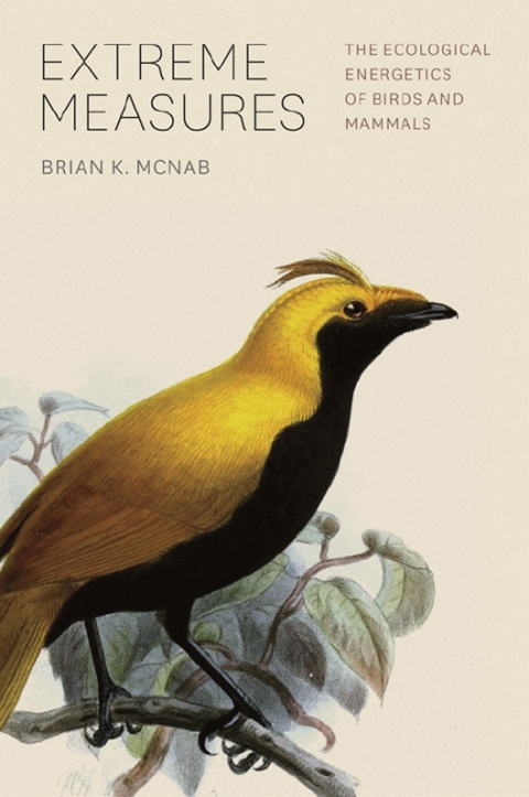 Cover image for book Extreme Measures