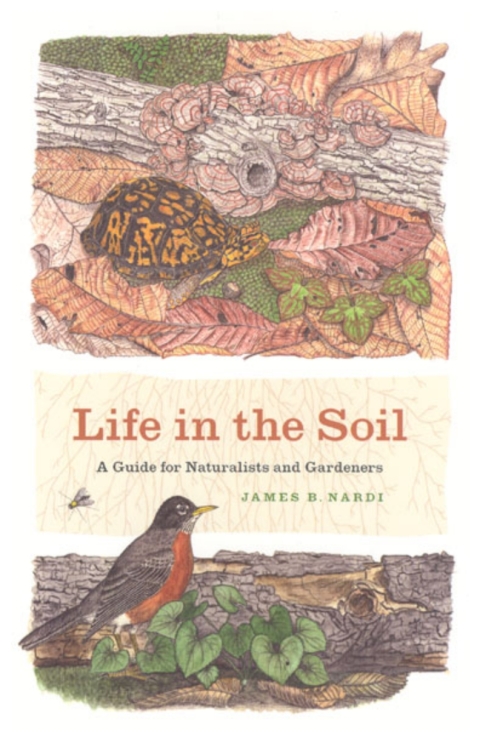 Cover image for book Life in the Soil