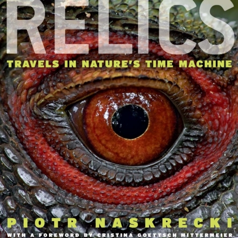 Cover image for book Relics