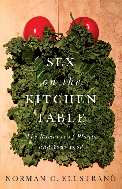 Cover image for book Sex on the Kitchen Table