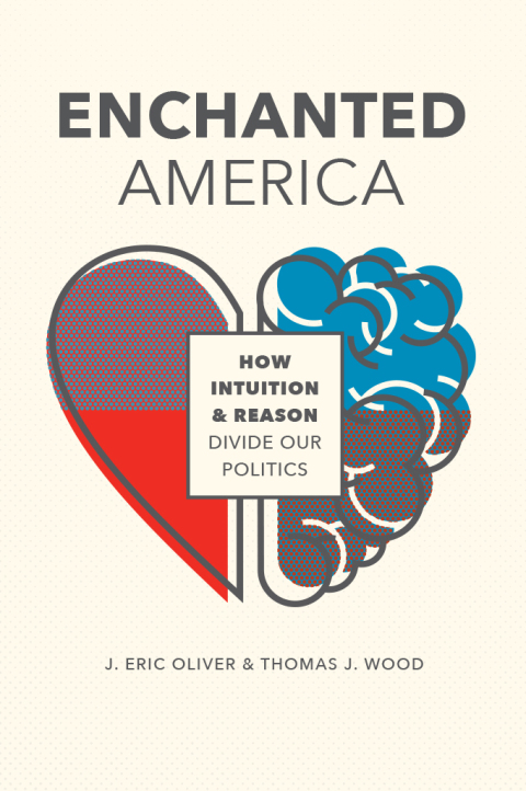 Cover image for book Enchanted America