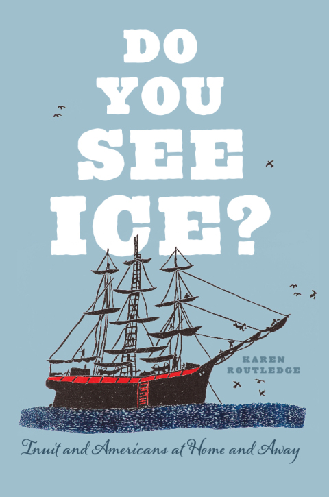 Cover image for book Do You See Ice?