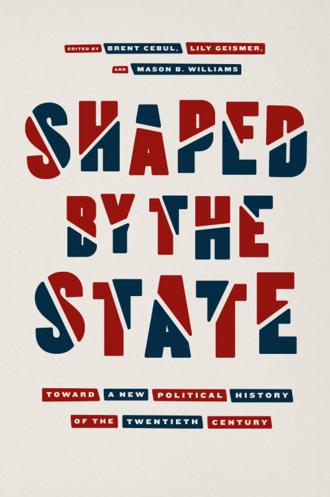 Cover image for book Shaped by the State