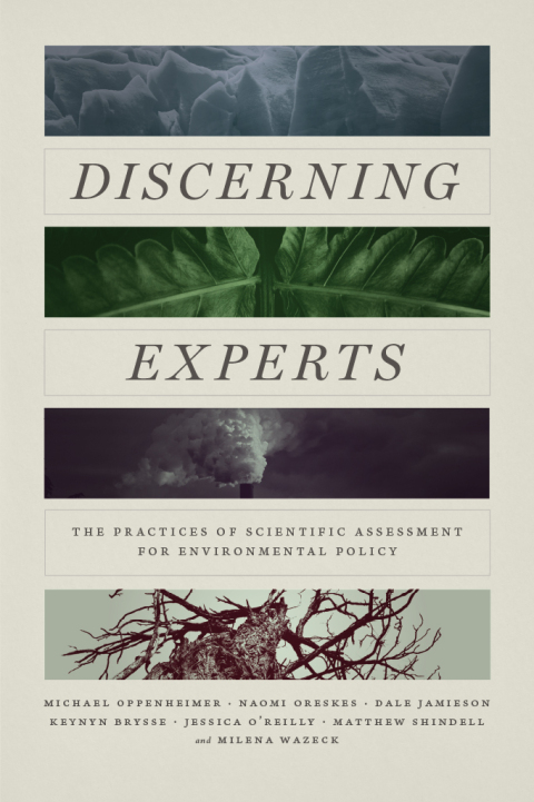 Cover image for book Discerning Experts