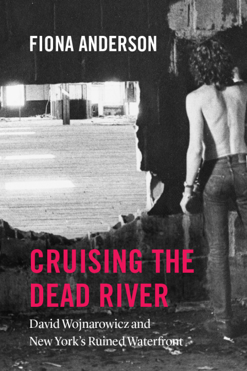 Cover image for book Cruising the Dead River