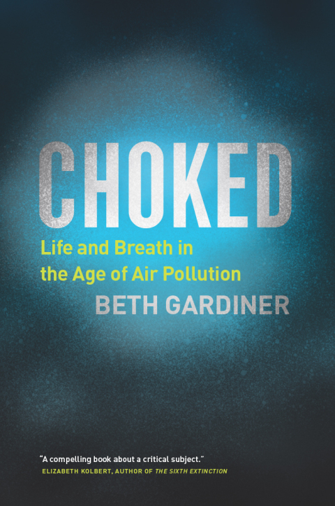 Cover image for book Choked