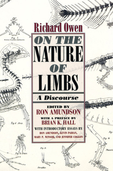On the Nature of Limbs 
