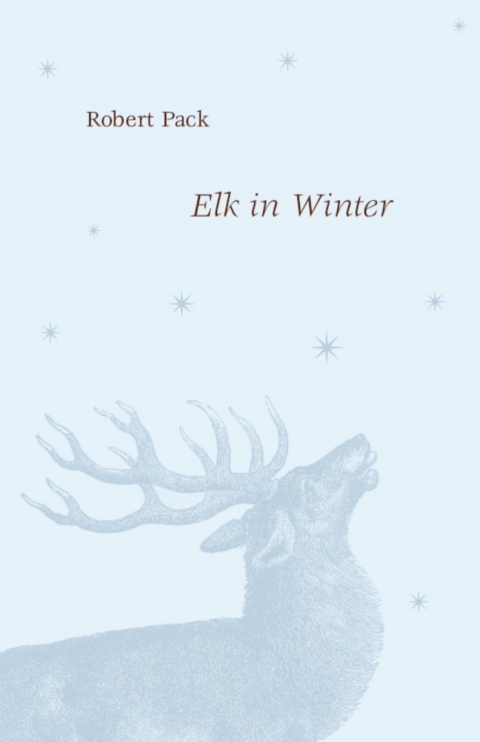 Elk in Winter 