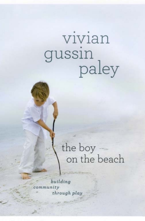 Cover image for book The Boy on the Beach