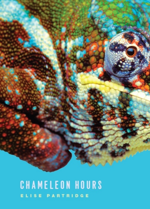 Cover image for book Chameleon Hours
