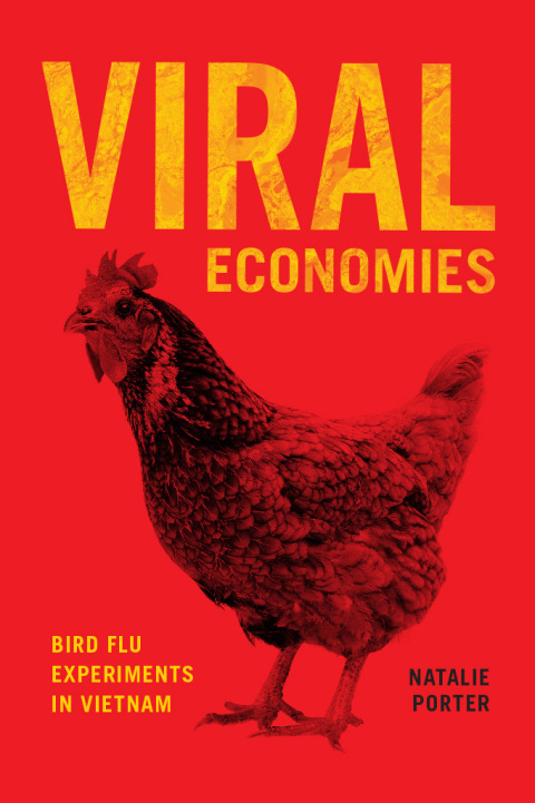 Cover image for book Viral Economies