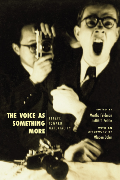 Cover image for book The Voice as Something More