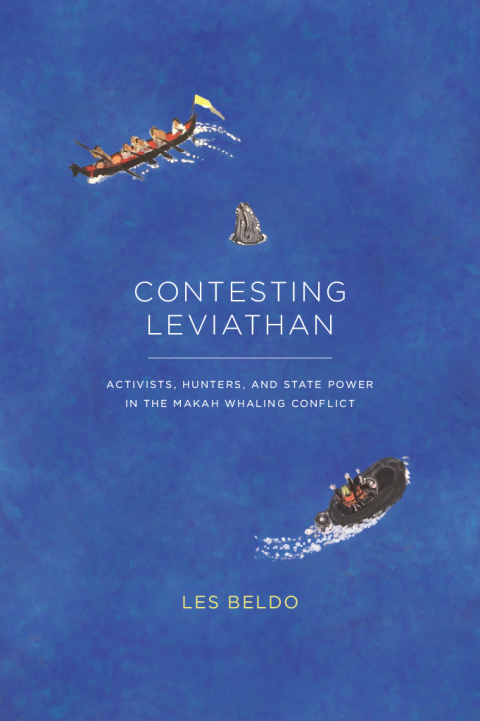Cover image for book Contesting Leviathan