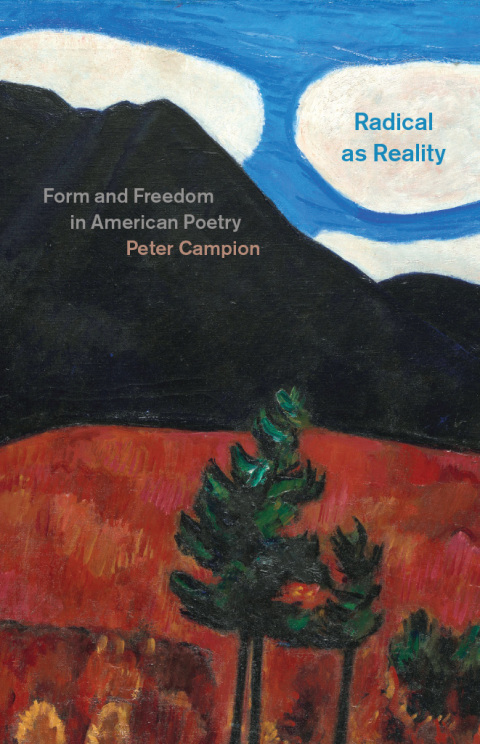 Cover image for book Radical as Reality