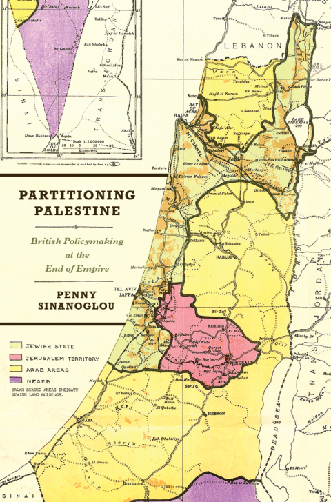 Cover image for book Partitioning Palestine