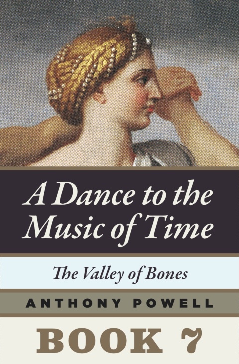 Cover image for book The Valley of Bones