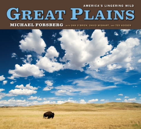 Cover image for book Great Plains