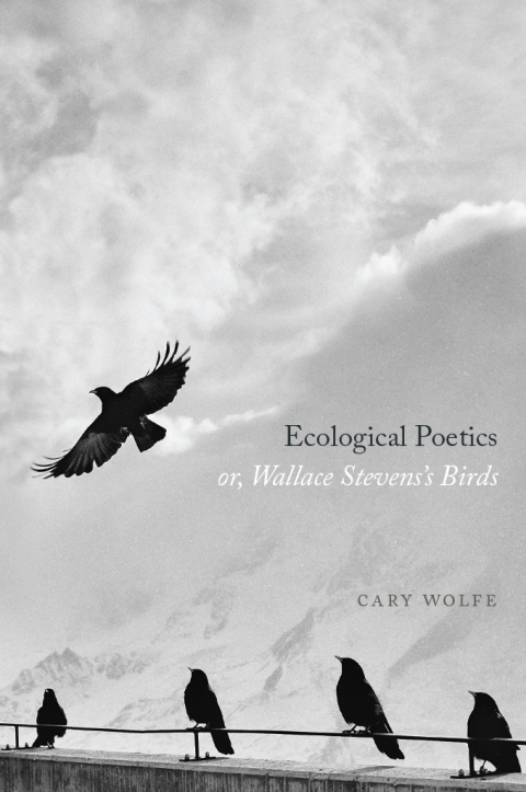 Cover image for book Ecological Poetics; or, Wallace Stevens’s Birds
